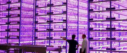 Как производить светодиодные фонари холода