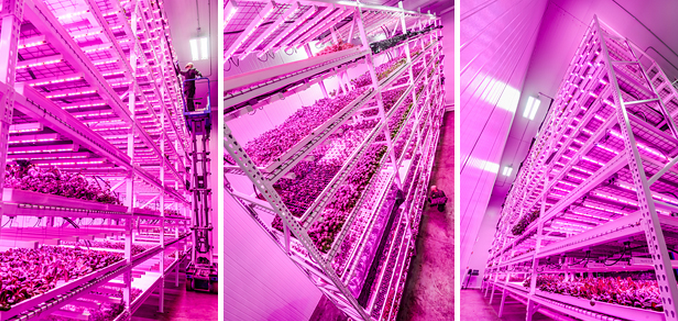 Светодиодное освещение приложения Появление эпоху официальный