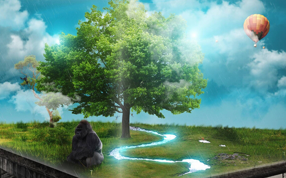 Светодиодная технология освещения позволяет межзвездным путешественникам сами культивировать растения